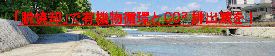 �u�R�₳�ʑI���v���Ă��܂�